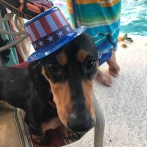 Meet your Posher, Kristen